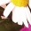 44歳／女性 会社員