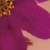 37歳／女性