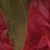 58歳／女性
