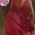 34歳／男性 その他