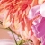 31歳／女性
